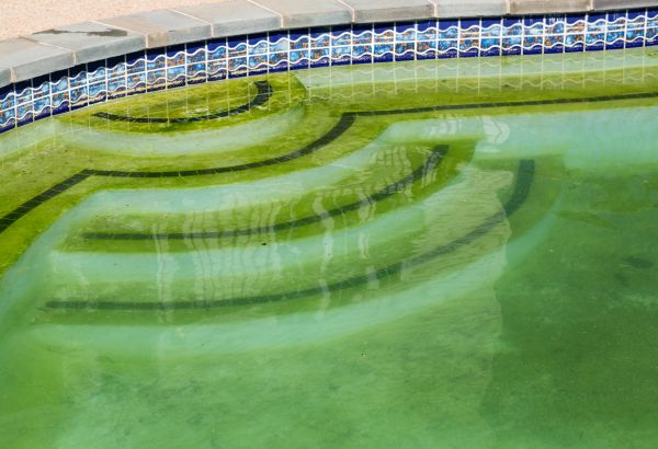 Cost of Pool Deck Algae Removal in Panama City Beach