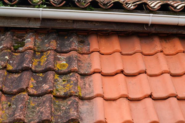 Industrial Roof Cleaning in Panama City Beach