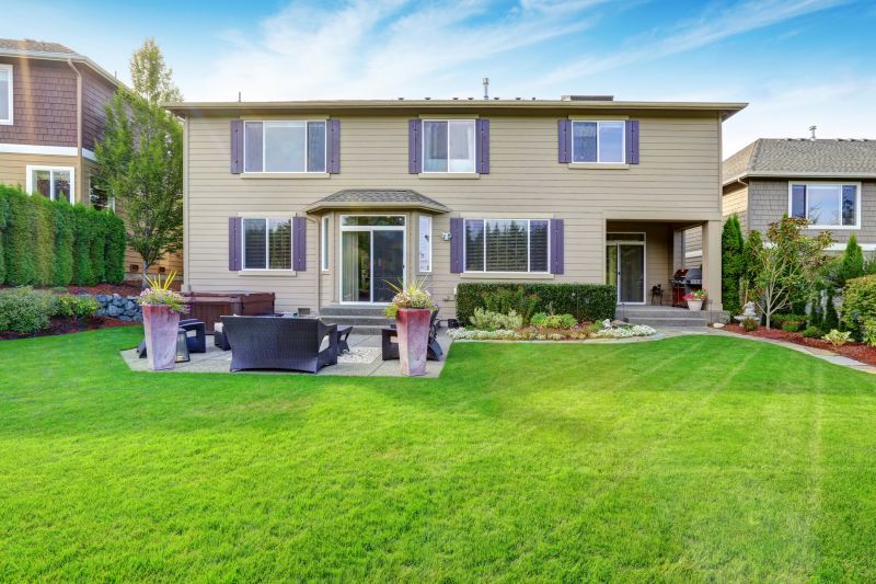 Patio Cleaning detail